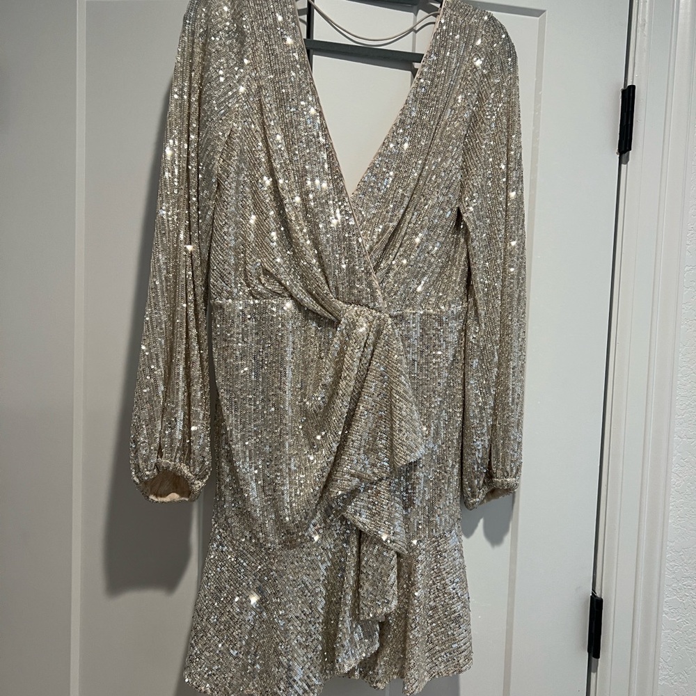 Ever New Shimmering Silver Sequin Dress